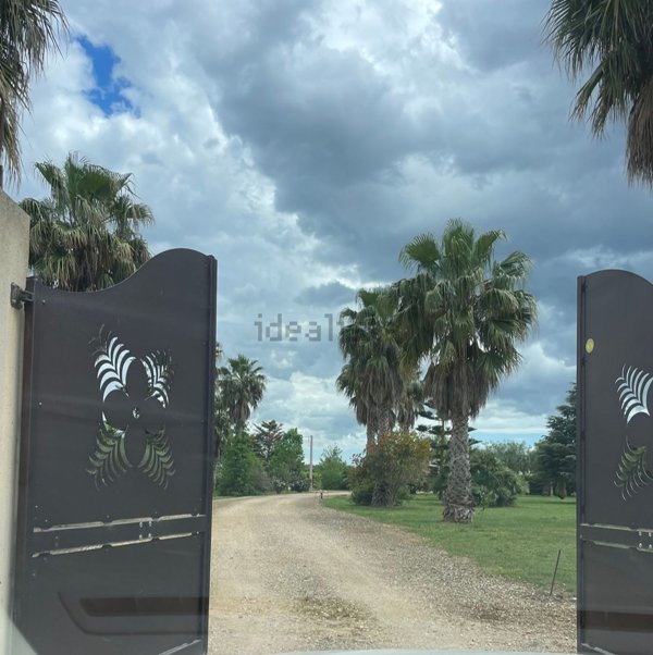 casa indipendente in vendita a Mesagne