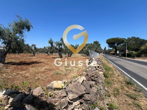 casa indipendente in vendita a Mesagne