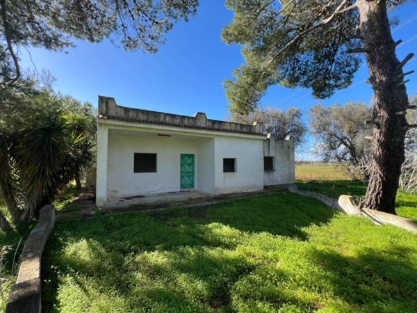 casa indipendente in vendita a Mesagne