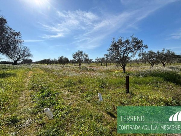 terreno agricolo in vendita a Mesagne
