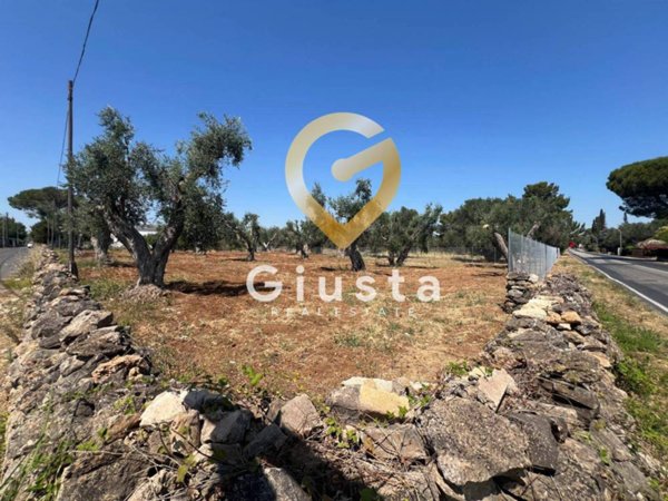 casa indipendente in vendita a Mesagne