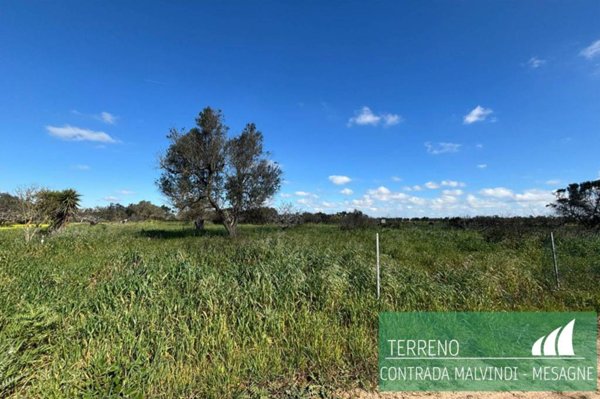 terreno agricolo in vendita a Mesagne