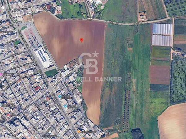 terreno agricolo in vendita a Mesagne