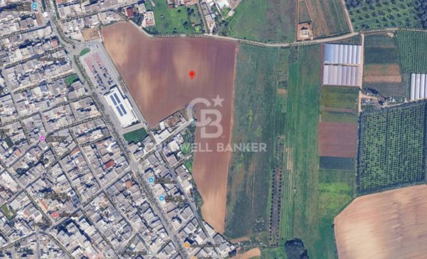 terreno agricolo in vendita a Mesagne