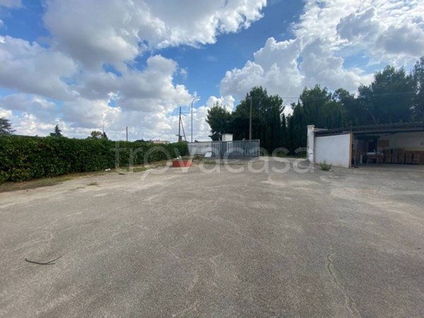 locale commerciale in vendita a Mesagne