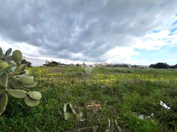 terreno agricolo in vendita a Mesagne