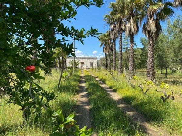 quadrivano in vendita a Mesagne