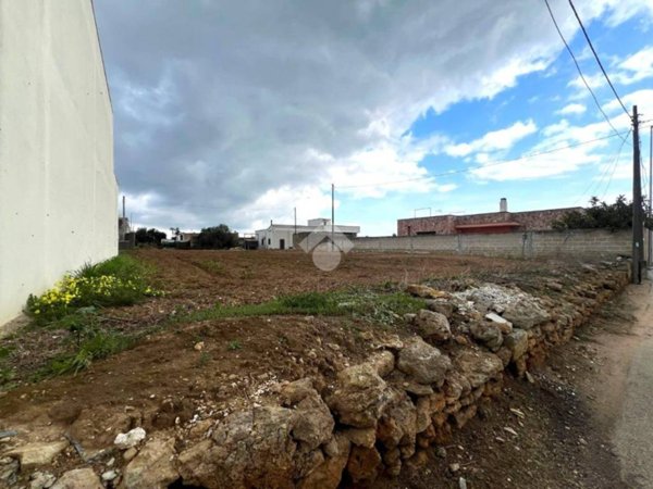 terreno agricolo in vendita a Mesagne