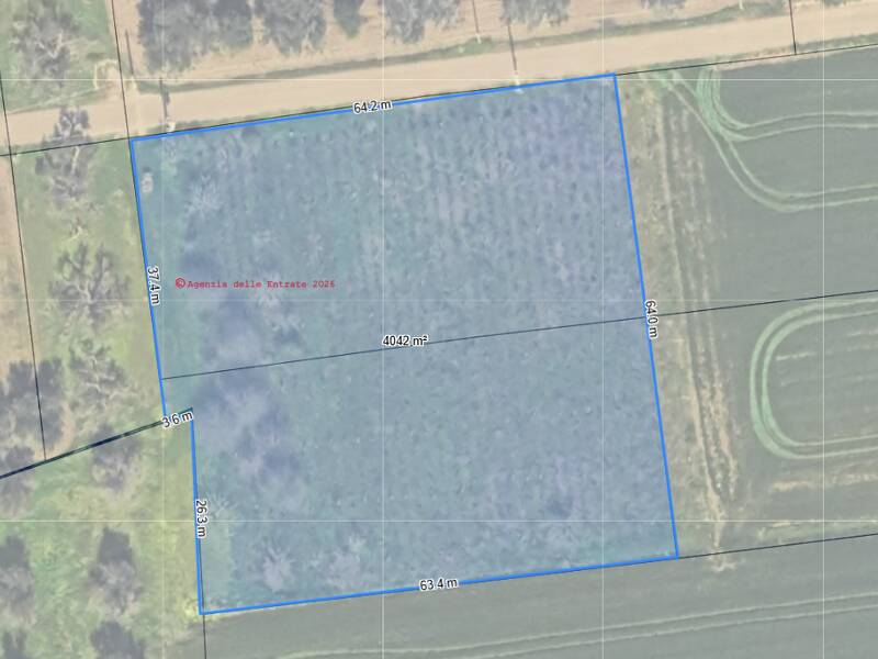 terreno agricolo in vendita a Mesagne