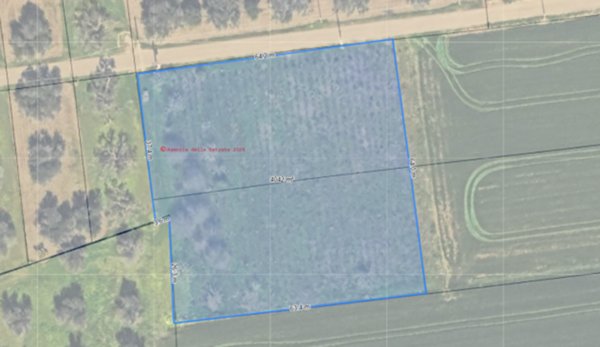 terreno agricolo in vendita a Mesagne