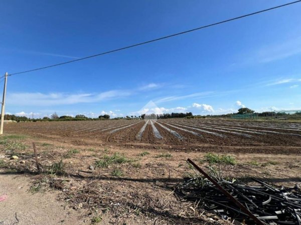terreno agricolo in vendita a Mesagne