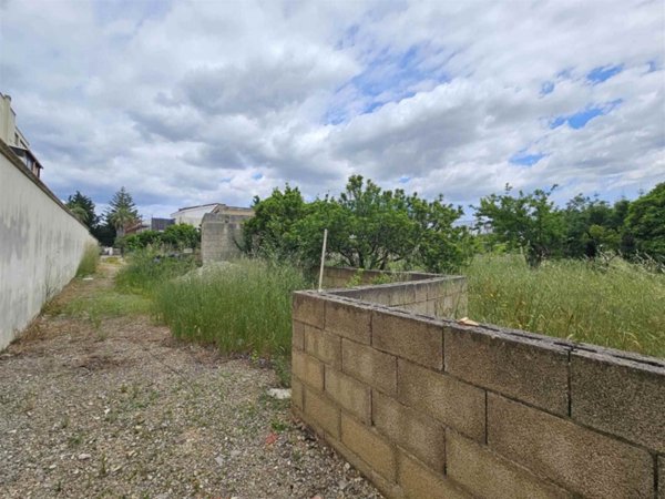 terreno agricolo in vendita a Mesagne