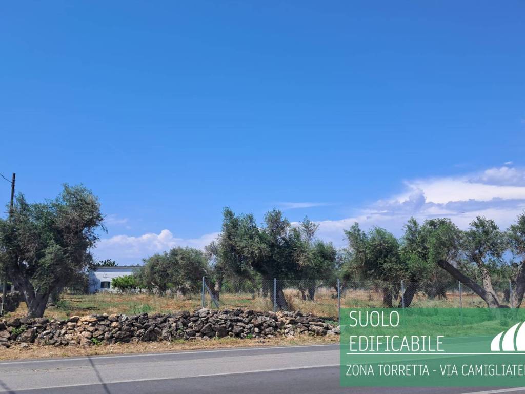 terreno agricolo in vendita a Mesagne
