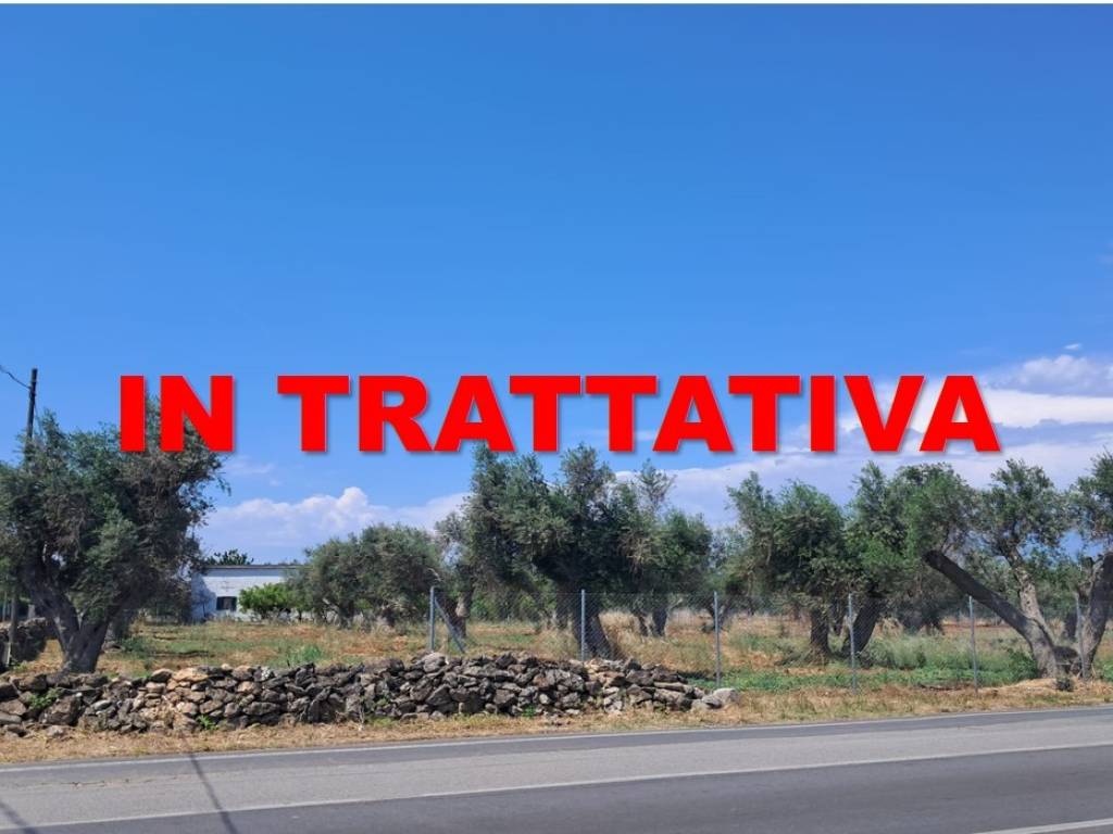 terreno agricolo in vendita a Mesagne