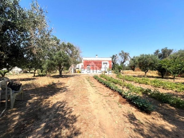 casa indipendente in vendita a Mesagne