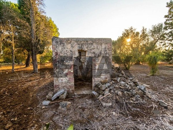 terreno agricolo in vendita a Mesagne