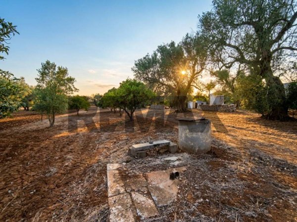 terreno in vendita a Mesagne