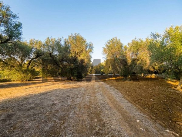 terreno in vendita a Mesagne