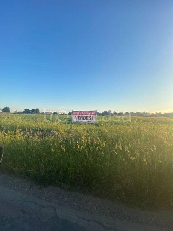 terreno in vendita a Mesagne