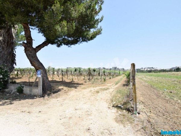 terreno agricolo in vendita ad Oria