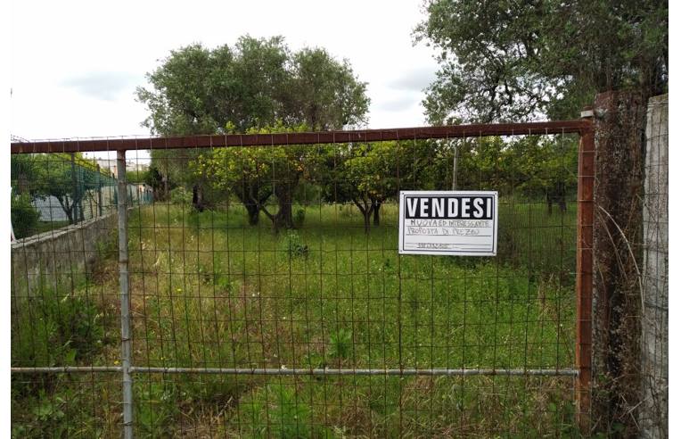 terreno agricolo in vendita ad Oria
