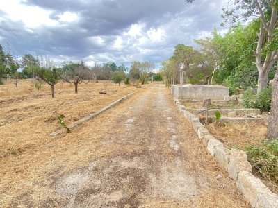 casa indipendente in vendita ad Oria