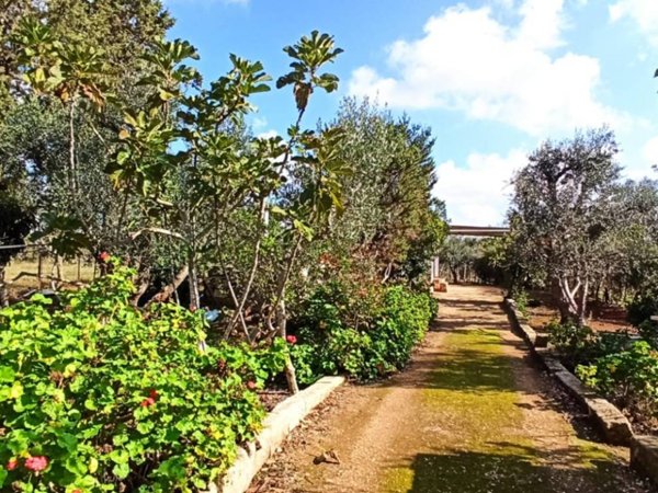 casa indipendente in vendita ad Oria