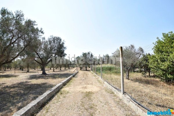 terreno agricolo in vendita ad Oria