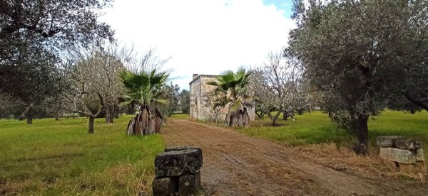 quadrivano in vendita ad Oria