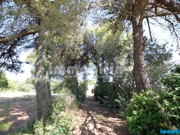 terreno agricolo in vendita ad Oria