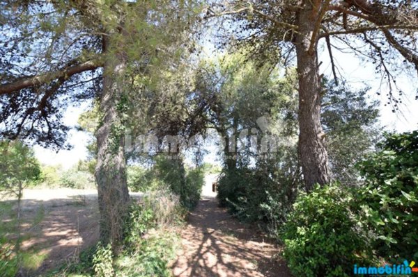 terreno agricolo in vendita ad Oria