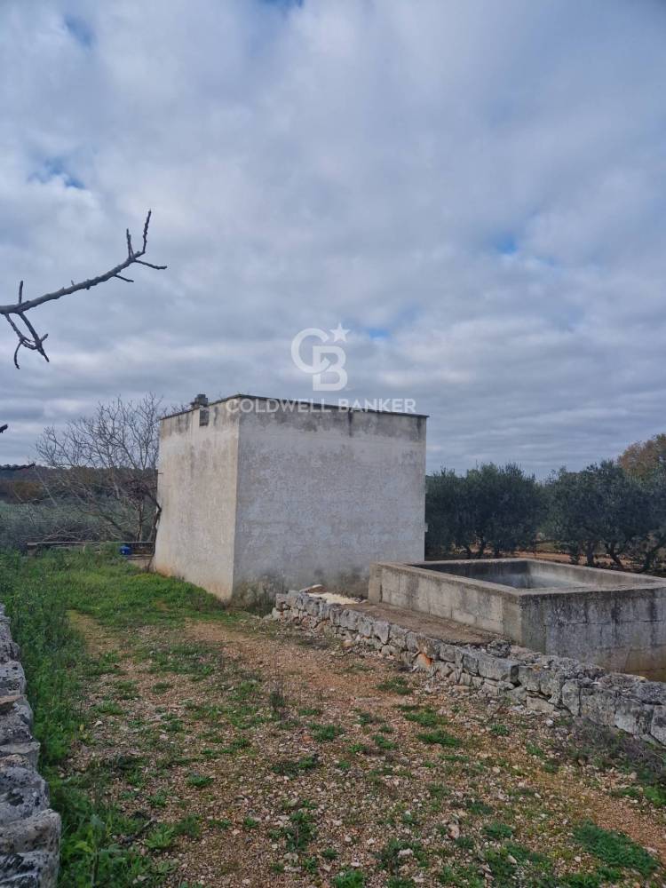 terreno edificabile in vendita ad Ostuni