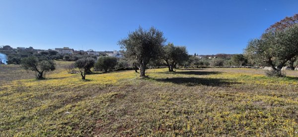 casa indipendente in vendita ad Ostuni