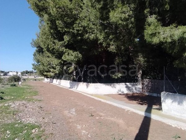 terreno agricolo in vendita ad Ostuni