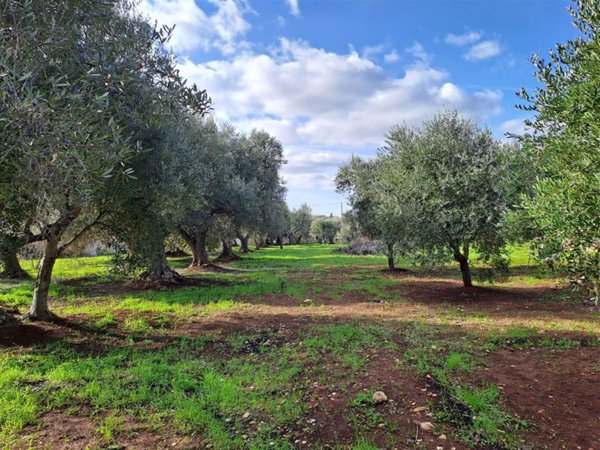casa indipendente in vendita ad Ostuni