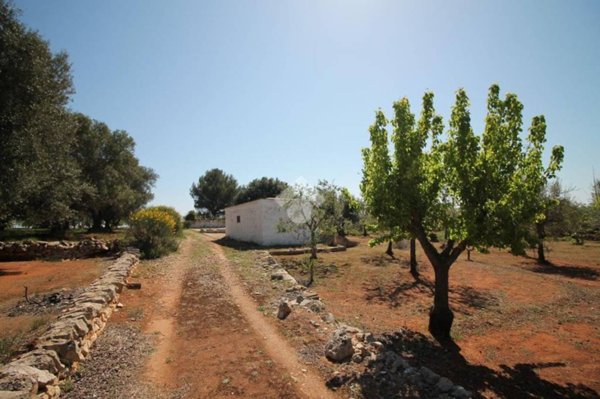 casa indipendente in vendita ad Ostuni