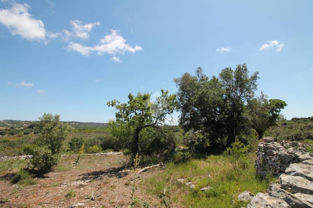 casa indipendente in vendita ad Ostuni