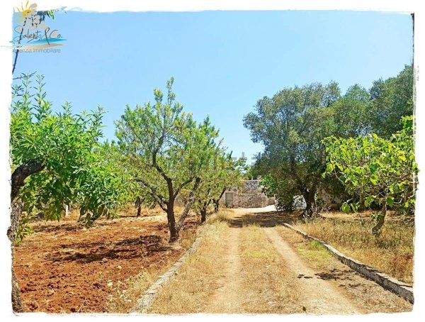 appartamento in vendita ad Ostuni