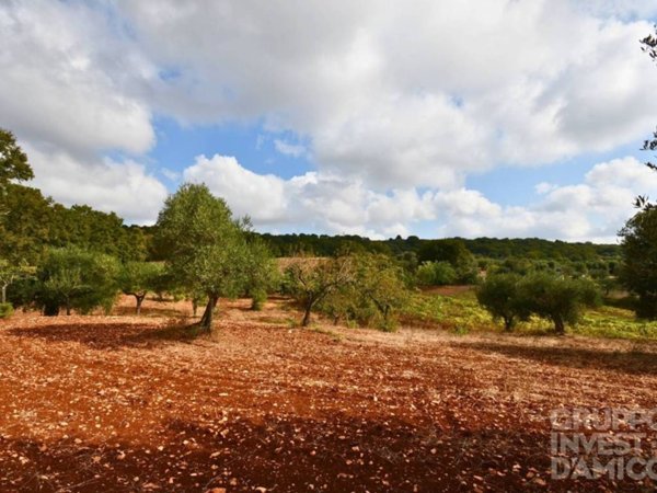 terreno agricolo in vendita ad Ostuni