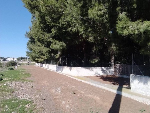 terreno agricolo in vendita ad Ostuni