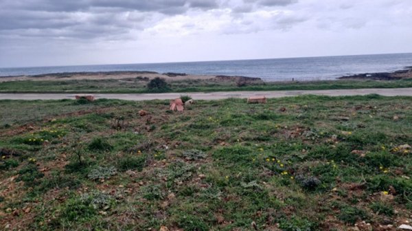 terreno agricolo in vendita ad Ostuni