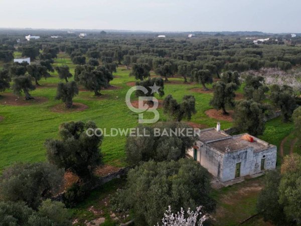 terreno agricolo in vendita ad Ostuni