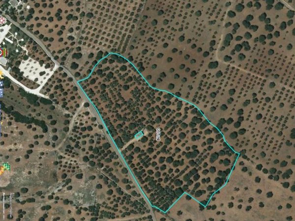 casa indipendente in vendita ad Ostuni