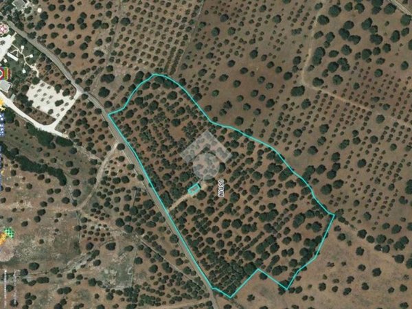 casa indipendente in vendita ad Ostuni