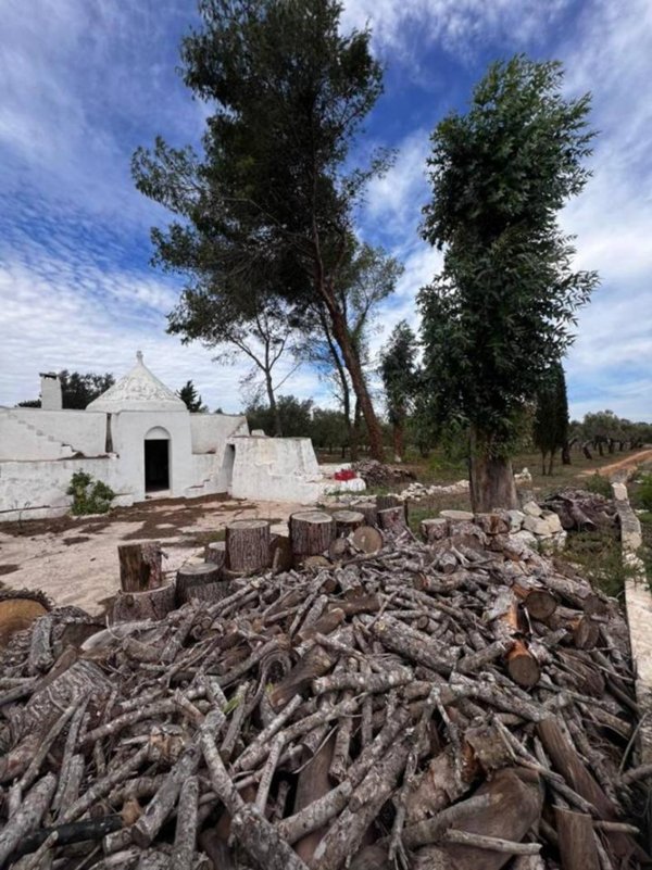 negozio in vendita ad Ostuni