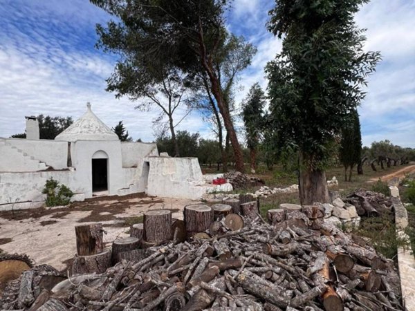 negozio in vendita ad Ostuni