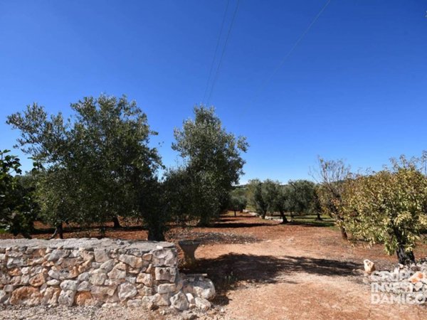 terreno agricolo in vendita ad Ostuni
