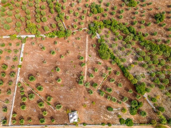casa indipendente in vendita ad Ostuni
