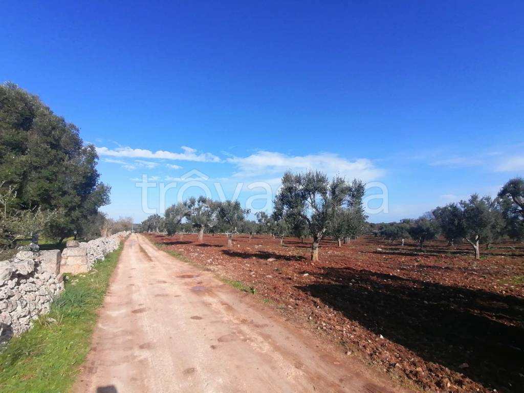 terreno agricolo in vendita ad Ostuni
