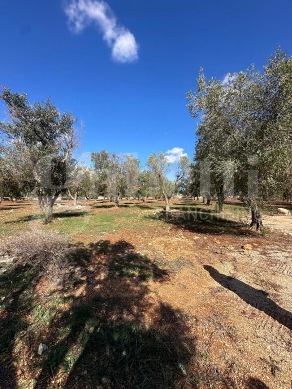 casa indipendente in vendita ad Ostuni